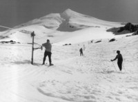 The new Top Tow (on the Policeman slopes), in the 1950's